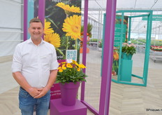 Co Overduin bij HilverdaFlorist, met de nieuwe Garvinea Sweet Joy